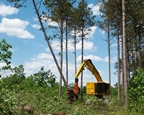 Tracked Harvester bringing down a tree